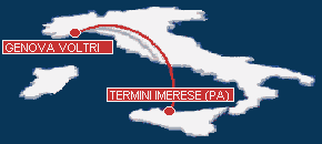 t-links lines